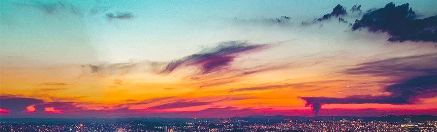 陇南茶虫网_陇南品茶